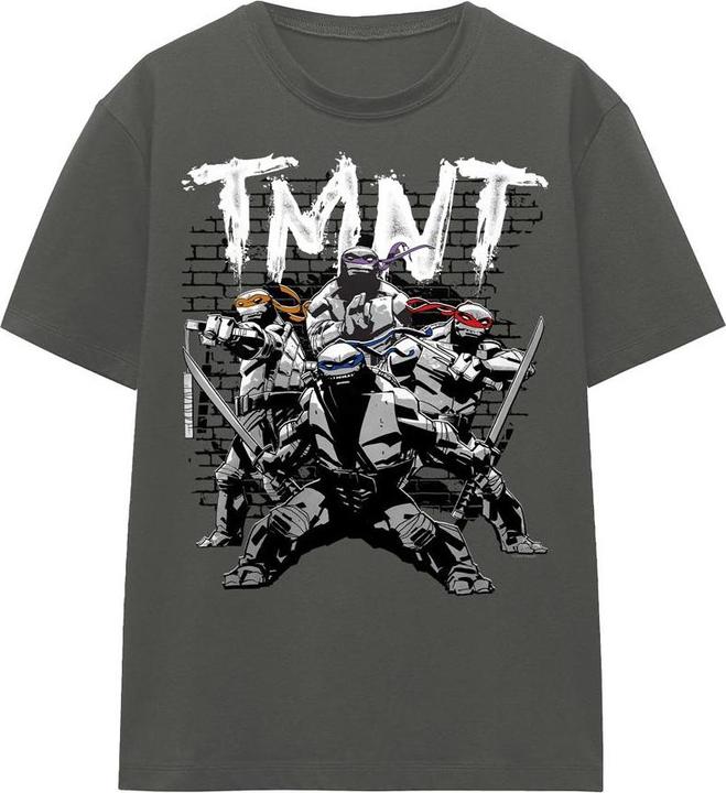 Produktbild Teenage Mutant NT TMNT Team TShirt (XXL)
