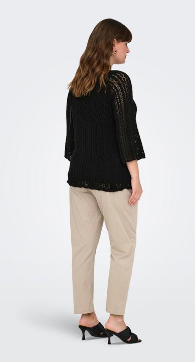 Actual product image Only Regular fit round neck plus pullover knitted jumper (L)