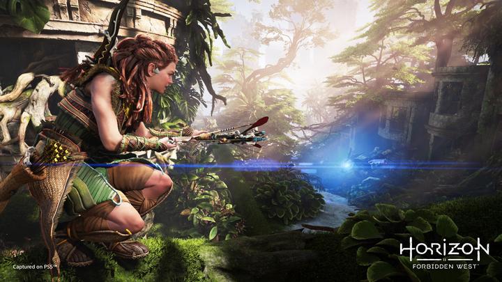 Produktbild Sony Horizon Forbidden West (PS4, EN)