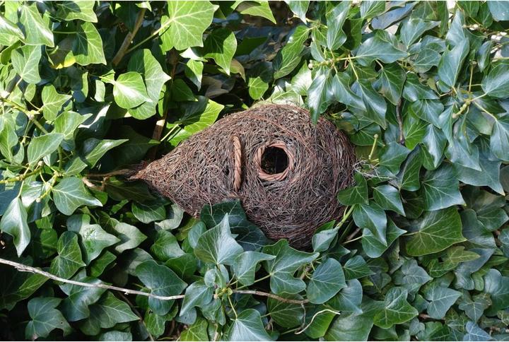 Productafbeelding Wildlife World Vogelnest