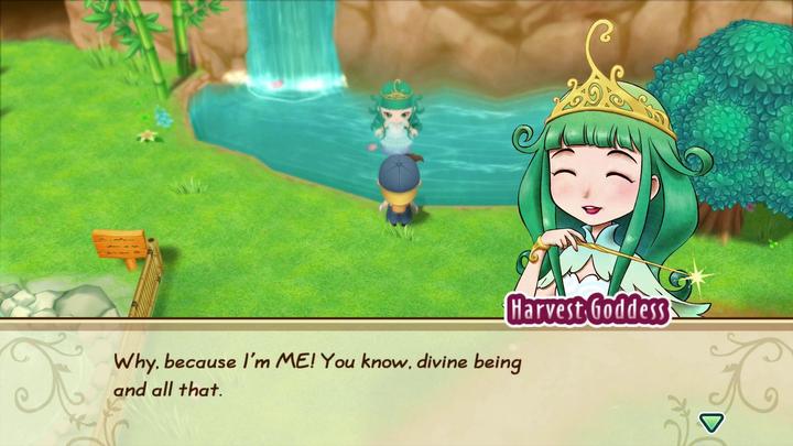 Actual product image Marvelous Story of Seasons : Friends of Mineral Town (Switch, FR)
