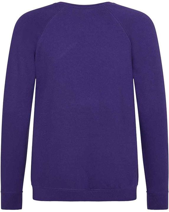 Actual product image Awdis Academy school sweatshirt round neck (104)