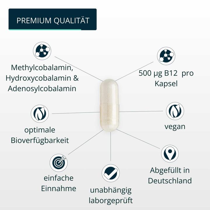Actual product image Brandl-Nutrition Vitamin B12 Vegan (1 Piece, Capsules, 45 g)