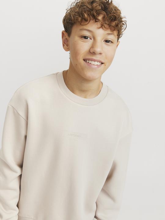 Actual product image Jack & Jones Printed sweatshirt junior sweatshirt (140)