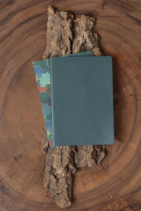 Immagine prodotto Clairefontaine Ginkgo Set 2 Notizhefte (AAA393)