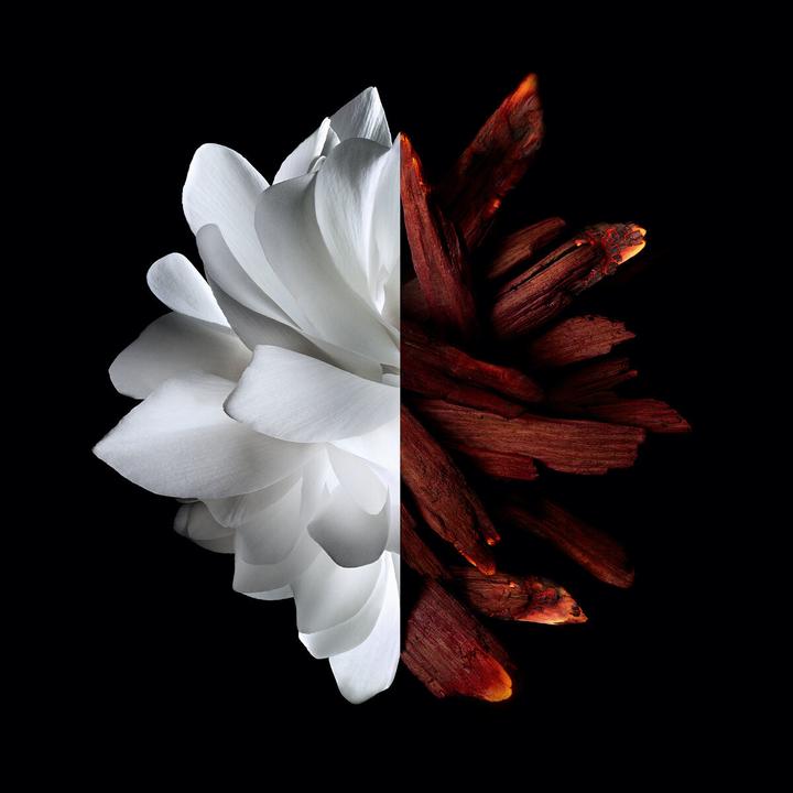 Actual product image Givenchy L'Interdit (Eau de parfum, 80 ml)