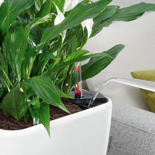 Produktbild Lechuza Quadro LS (35.50 cm)