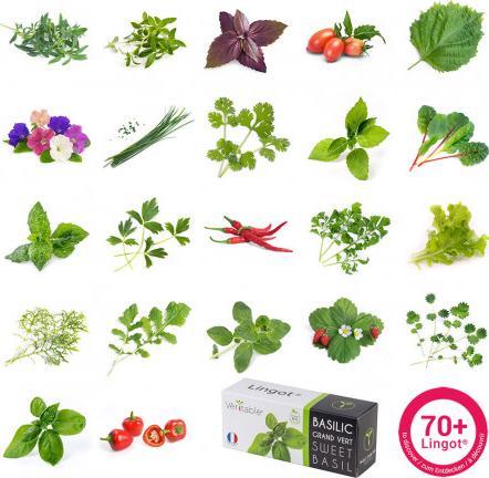 Image du produit Véritable Classic (18.50 cm)