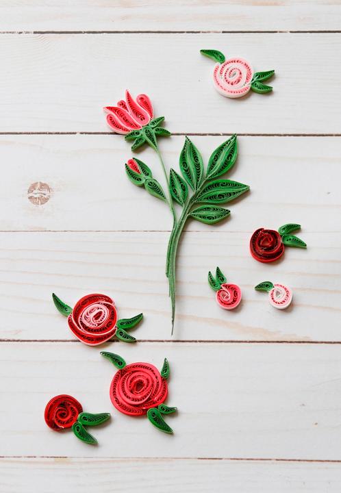 Immagine prodotto Papier+ideen Quilling-Set "Rosen"