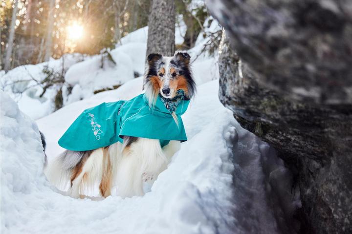 Actual product image Hurtta Monsoon V2 Eco green mackintosh, 70 cm (70, Dog raincoat)