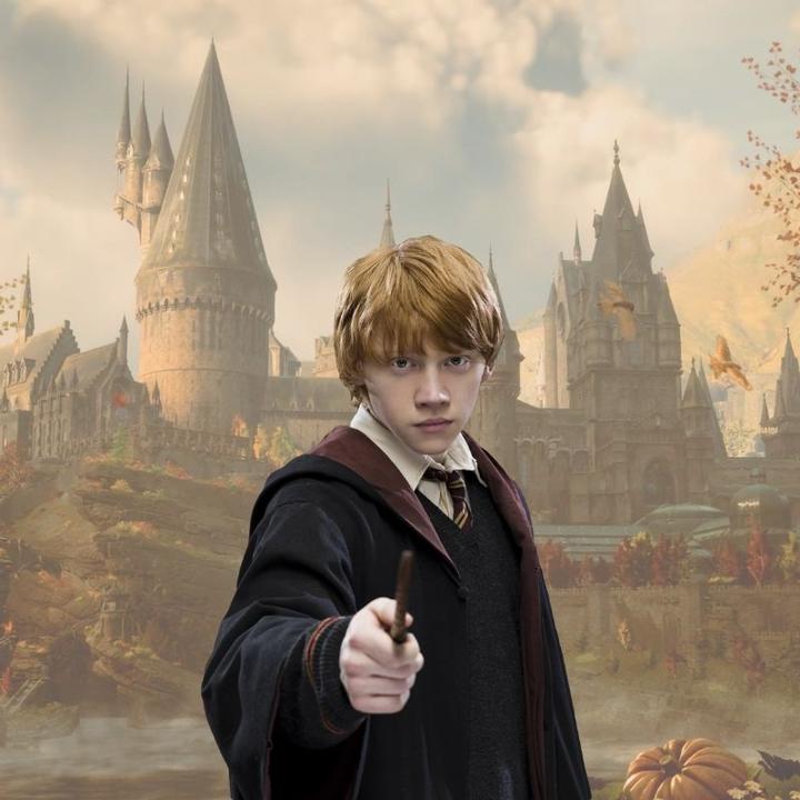 Immagine prodotto Noble Collection Harry Potter bacchetta Ron Weasley (Edizione personaggio)