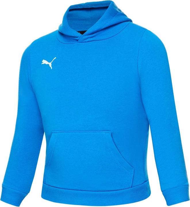 Produktbild Puma teamGOAL 23 Casuals Hoody Jr-656711 (128)