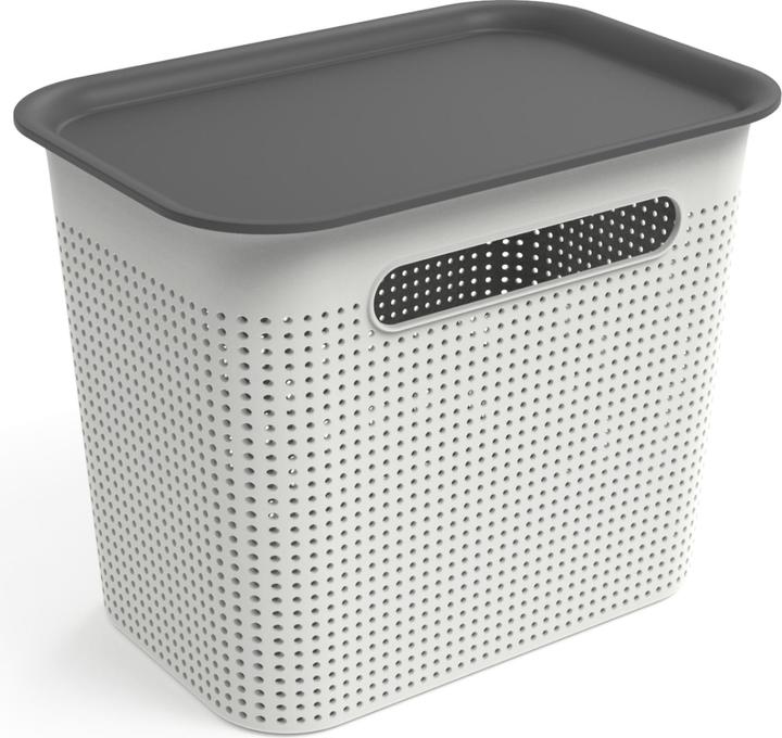 Actual product image Rotho Breezes (18.5 x 26.5 cm, 4.50 l)