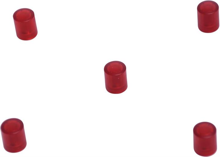 Actual product image Supermagnete Board magnets cylindrical, red transparent (5 x)