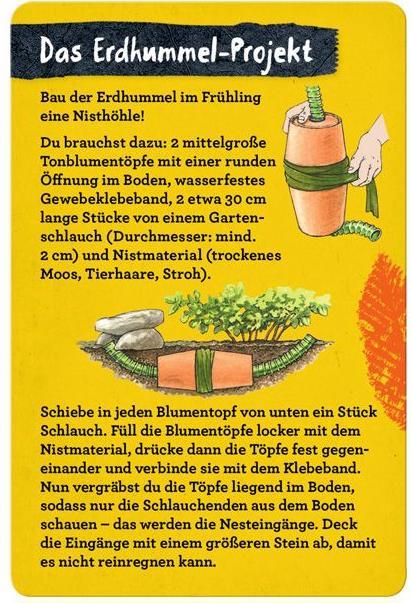 Actual product image Die Spiegelburg 50 Insects, spiders & co.