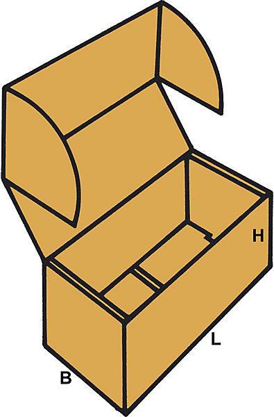 Image du produit kaiserkraft Boîtes à couvercle articulé (50 x)