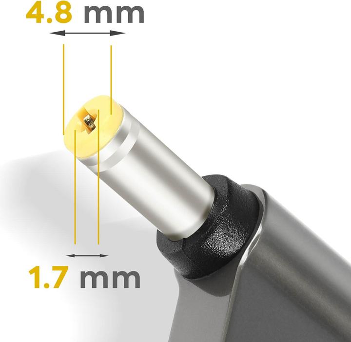 Actual product image Avizar ADA-100W-C028, USB-C / 4.8 x 1.7mm 100W Adapter (USB Type C, USB Type C)