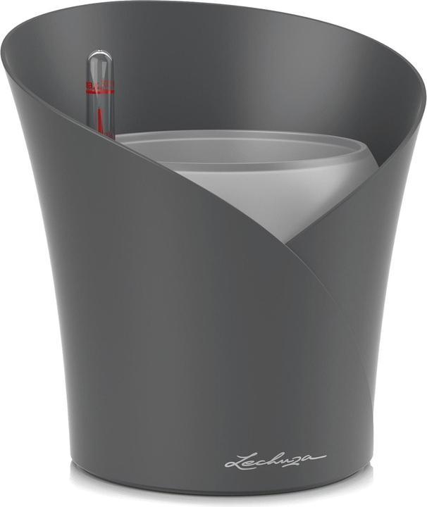 Image du produit Lechuza Orchidea (17.90 cm)