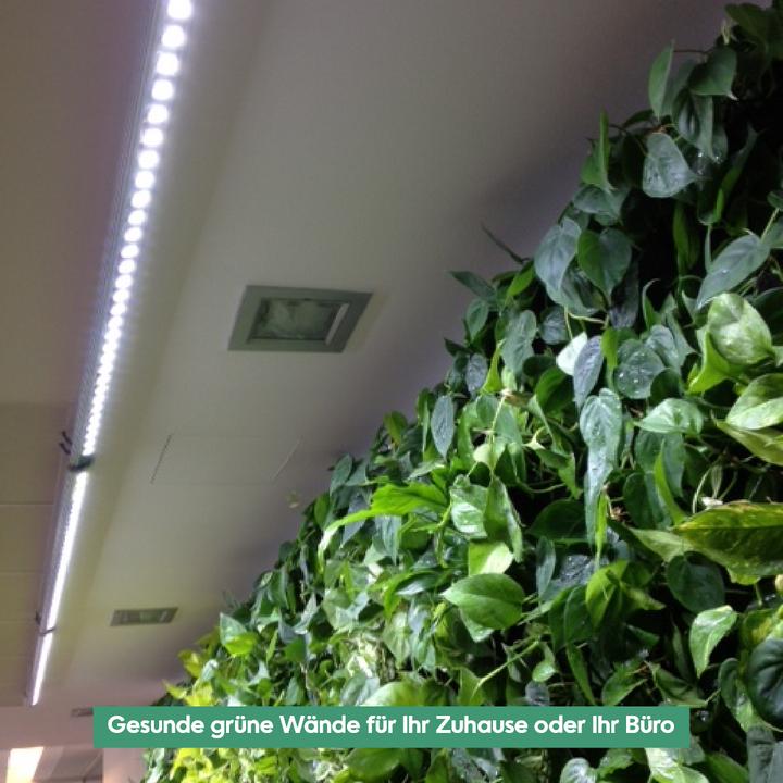 Produktbild Parus by Venso Wall Spot 120cm, Abstrahlwinkel 60°, LED Wachstumslampe, Grow Light für Zimmerpflanze (LED, 245 V)