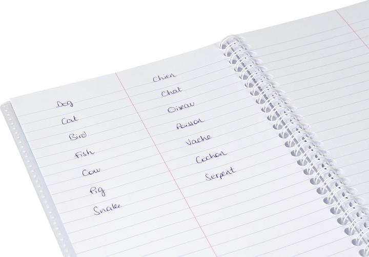 Immagine prodotto Clairefontaine Vokabelheft Koverbook (A1, Righe)