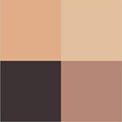 Produktbild Clarins Quatuor No 08 (08 Amber Gradation)