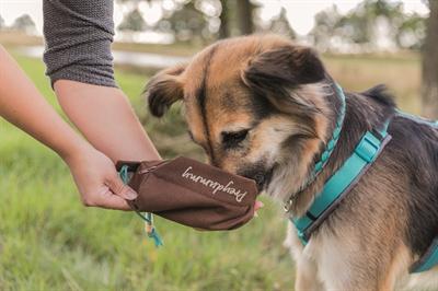 Produktbild Trixie Preydummy (Wurfspielzeug Hund, Apportieren)
