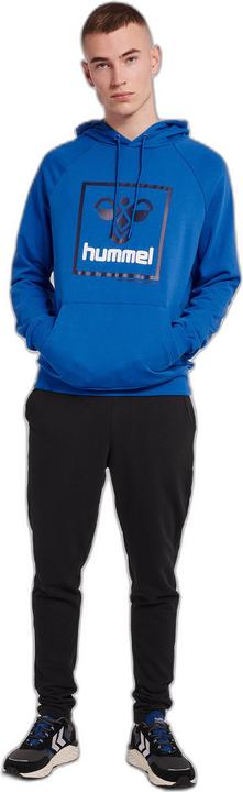 Produktbild hummel ISAM 2.0 HOODIE (L)