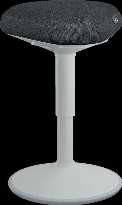 Image du produit Leitz Ergo Active