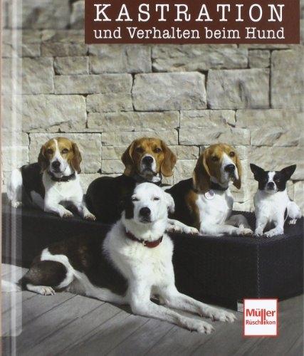 Produktbild Kastration und Verhalten beim Hund (Deutsch, Sophie Strodtbeck, Udo Ganslosser, 2021)