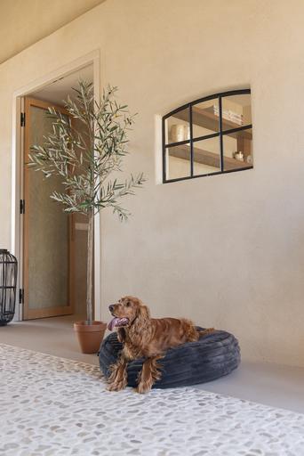 Actual product image Designed by Lotte Reza reclining cushion (Dog)