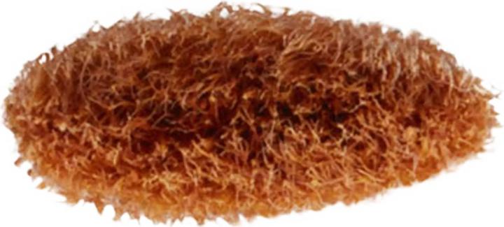 Image du produit MAC Cosmetics Brush 242S Shader (Sourcils)