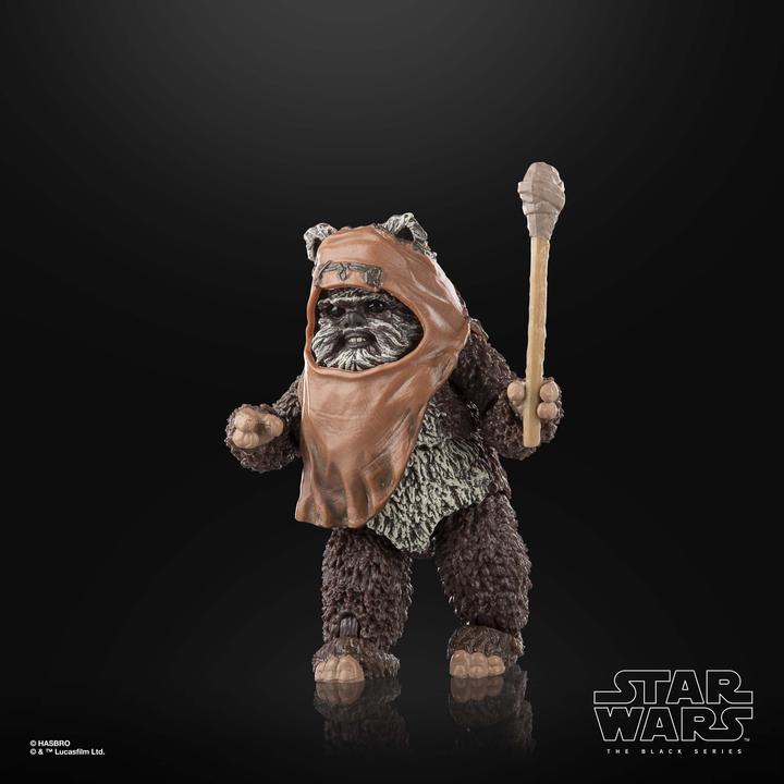 Actual product image Hasbro Star Wars Episode VI Black Series figurine Wicket 15 cm