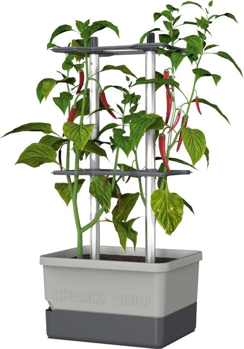 Produktbild Gusta Garden Charly Chili (35.35 cm)
