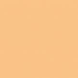Lee Filters 200 Full C.T. Orange