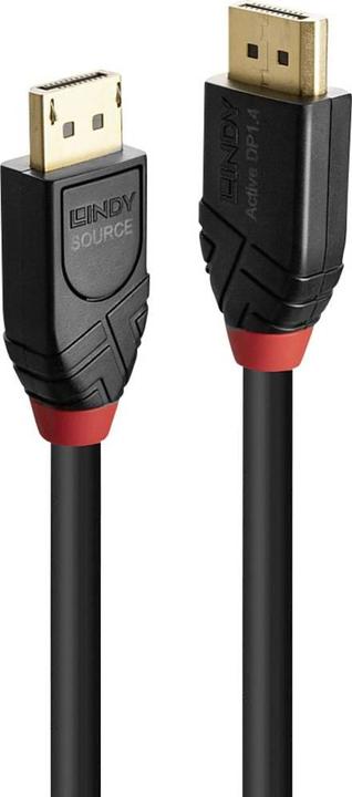 Actual product image Lindy DisplayPort - DisplayPort cable 5.1m black (41167) (5 m, DisplayPort)