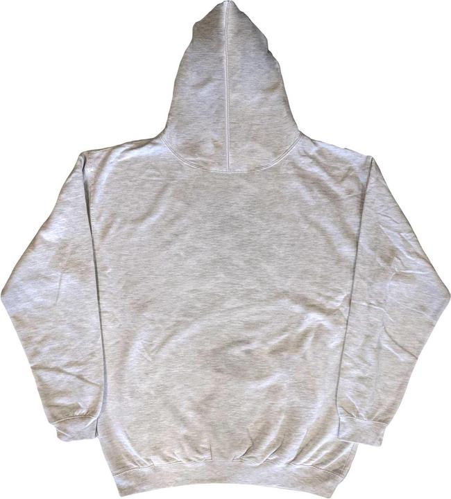Image du produit The Strokes Adulte Magna Mono Distressed Pullover Hoodie (L)