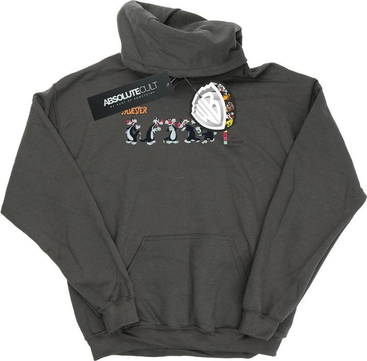 Looney Tunes Sylvester Colour Code Kapuzenpullover (S)