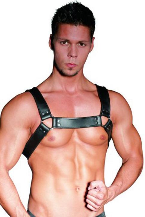 Actual product image Zado Chest Harness (M)