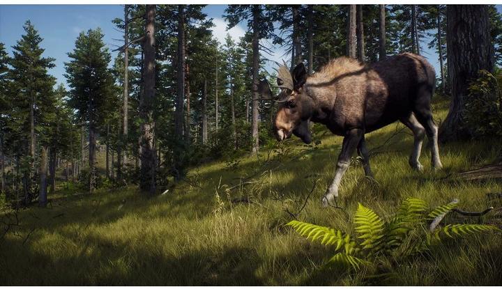 Actual product image THQ Way of the Hunter (Xbox Series X, DE)