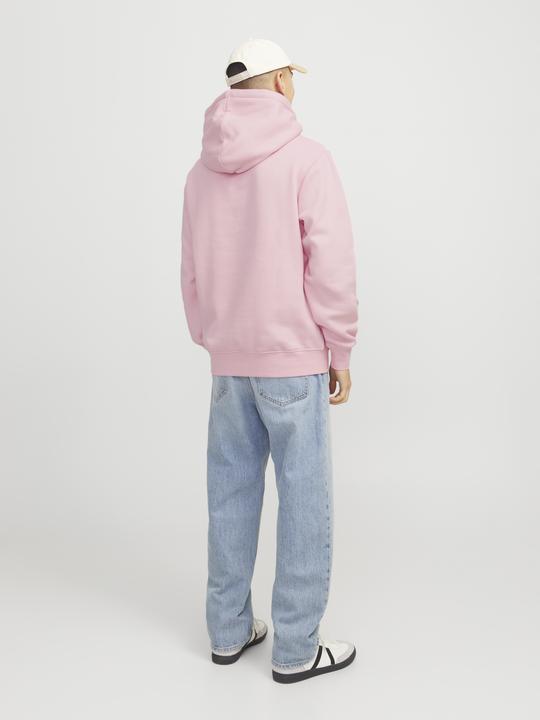 Actual product image Jack & Jones Jorvesterbro Sweat Hood Noos (XL)