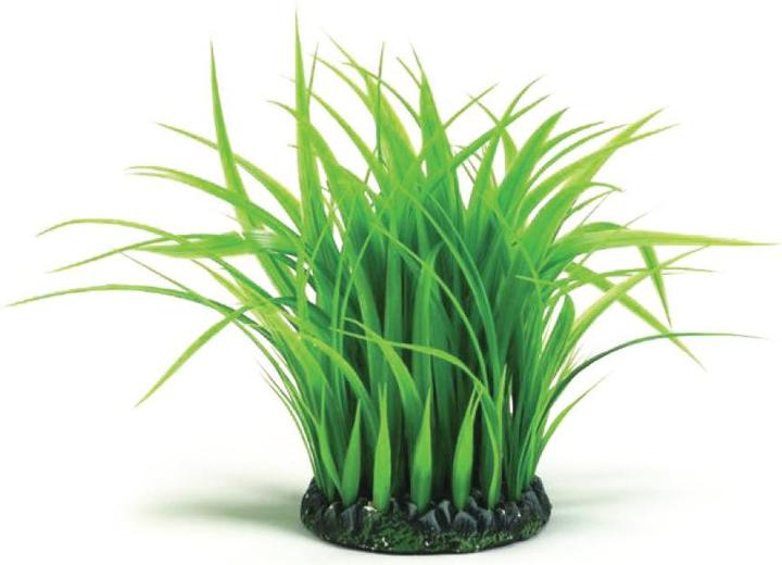 Actual product image Oase biOrb grass ring medium green (Embellishment, other items)
