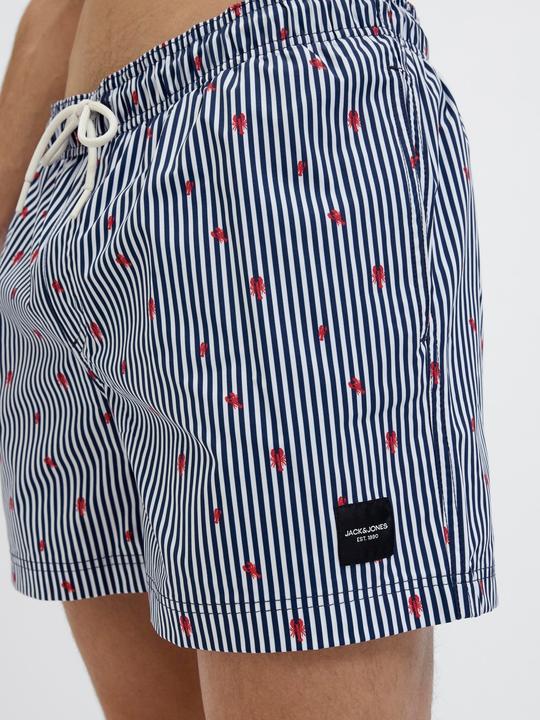 Immagine prodotto Jack & Jones Jpstmaui Jjswim Mini Stripe Akm Sn (L)