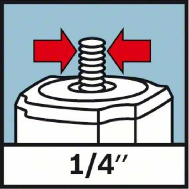 Actual product image Bosch Professional Bt 250