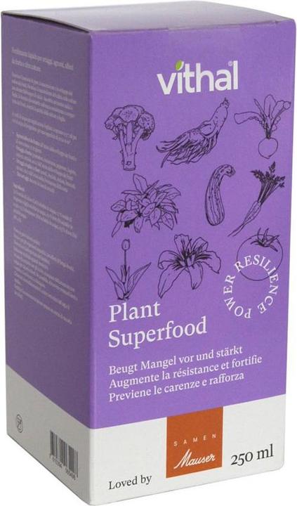 Vithal Plant Superfood Konzentrat 250 ml (0.25 l)