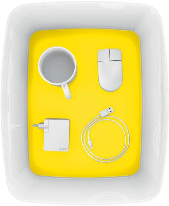 Immagine prodotto Leitz Contenitore MyBox (31,8 x 19,8 x 38,5 cm, 18 l)