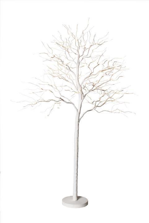 Actual product image STT Fairy tale