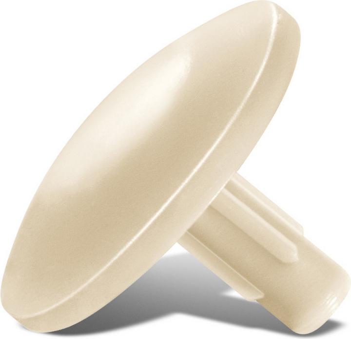 Spax Cap R 89013 head bore beige plastic
