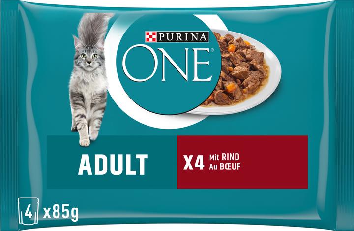 Purina ONE Adult