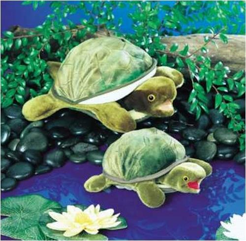 Actual product image Folkmanis Turtle