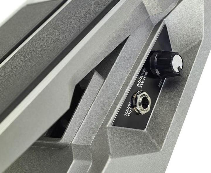 Actual product image BOSS (Electronics) FV-500L (Electric guitar)
